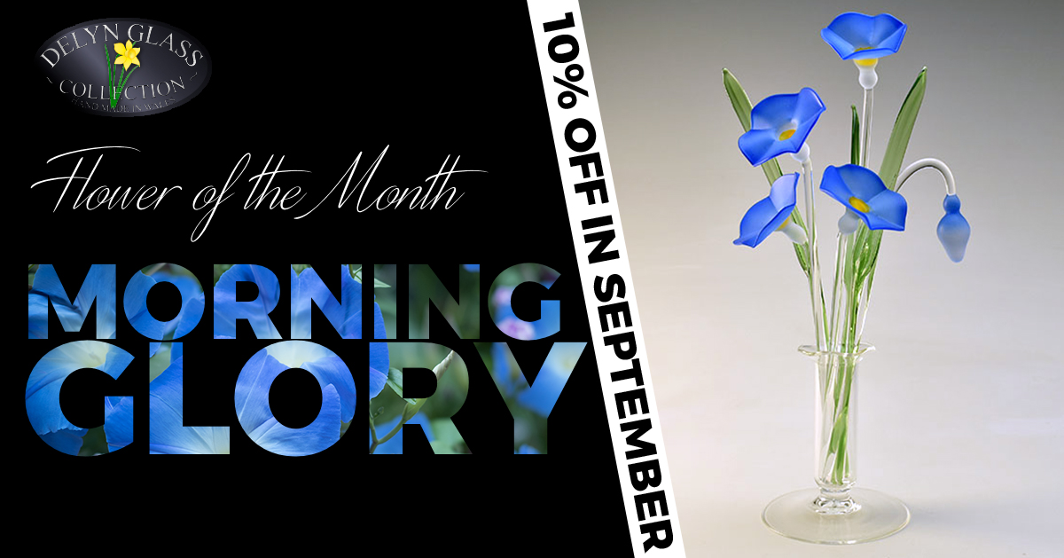 10% Off Morning Glory in September